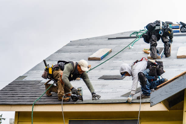 Professional Roofing technician working in Dana, NC